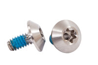 Titanschrauben vordere Dämpferaufnahme M6x1.25