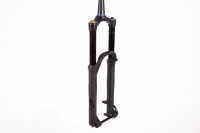 Formula Selva S 29" Federgabel 170mm 15x110mm schwarz