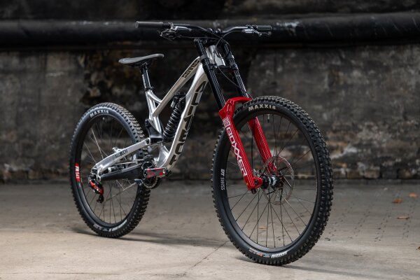 Sennes 3.0 DH custom