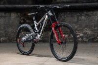 Sennes 3.0 DH Custom