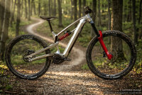 ePelmo X1P  Enduro MX Launch Edition