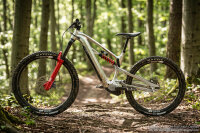 ePelmo X1P Enduro 29 Launch Edition